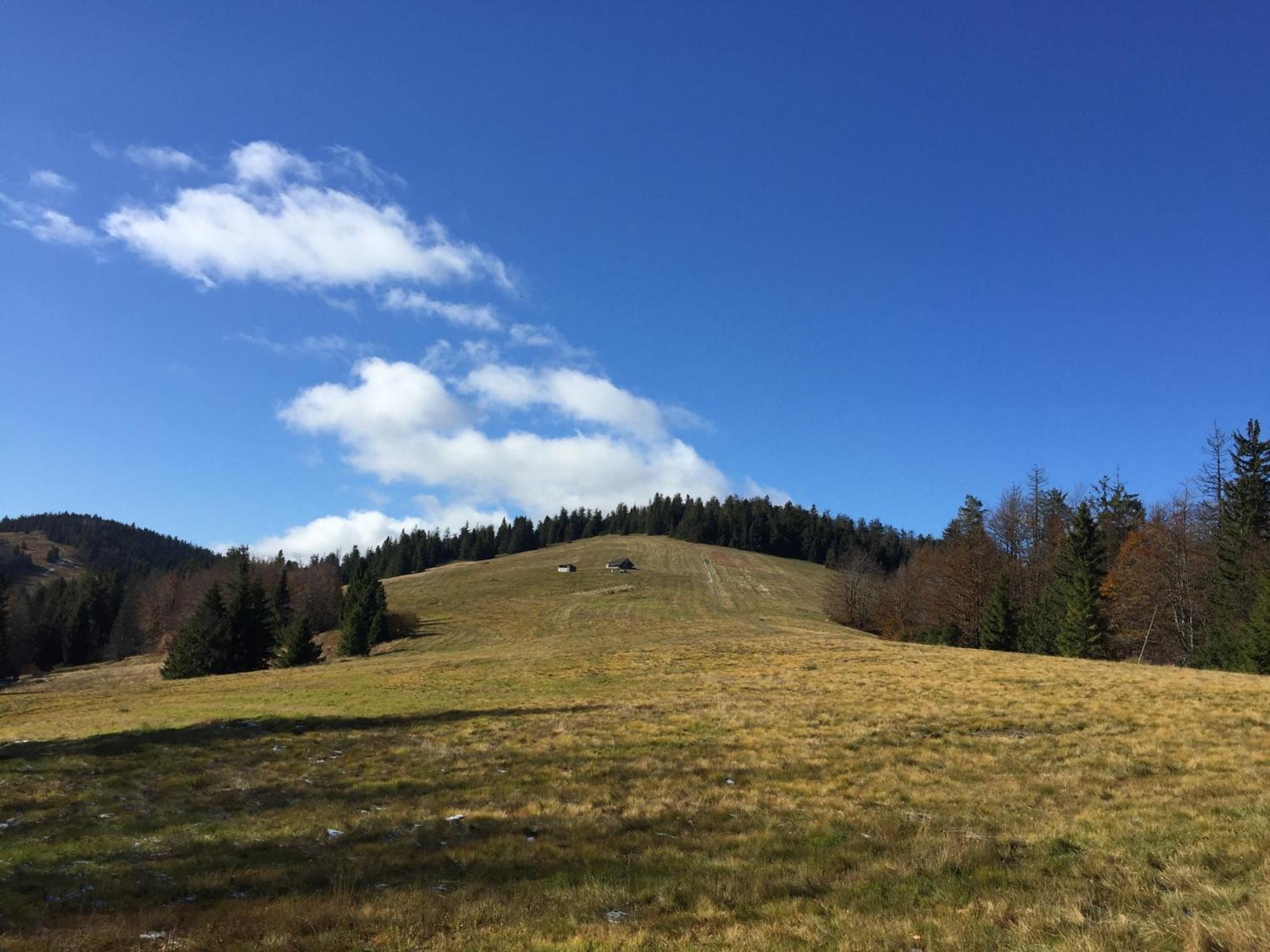 Kopytko * Bielsko-Biala